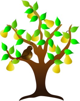 Clip Art Illustration of a Partridge in a Pear Tree