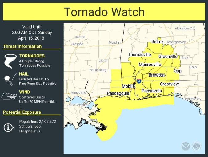 30712101_1682838948449846_5958830582724034560_o