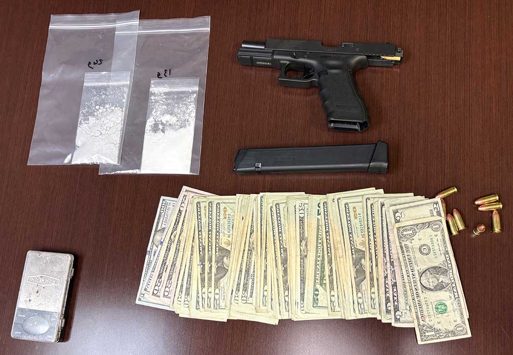 Traffic stop leads to seizure of drugs, weapon | Holt Enterprise News